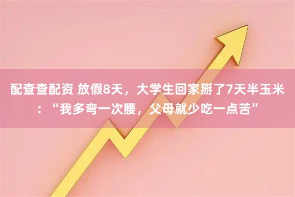 配查查配资 放假8天，大学生回家掰了7天半玉米：“我多弯一次腰，父母就少吃一点苦”